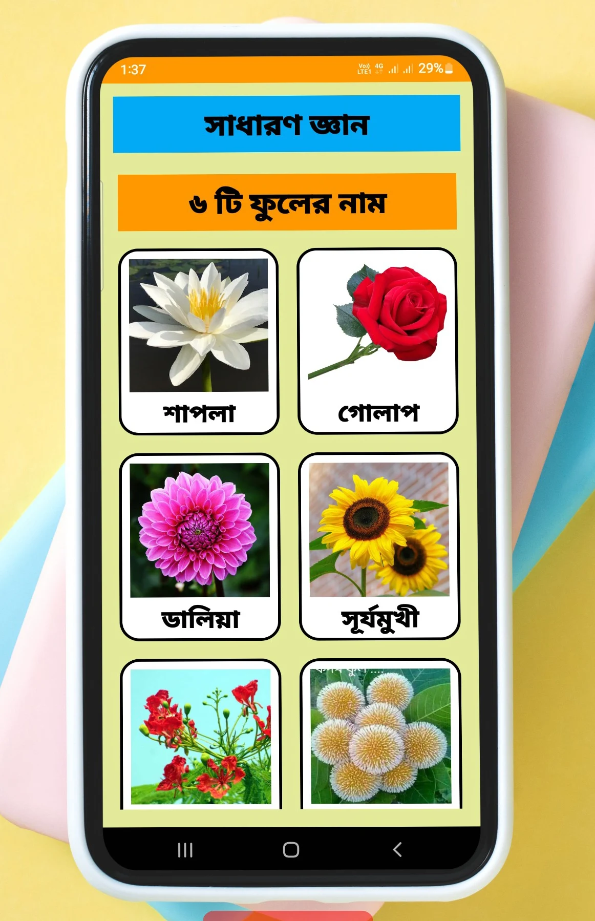 শিশু শিক্ষা : একের মধ্যেই সব screenshot
